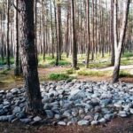 Muzyczne Podróże. Pomorze. Kręgi Grzybnica / Danuta Rasała