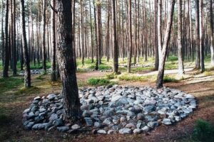 Muzyczne Podróże. Pomorze. Kręgi Grzybnica / Danuta Rasała