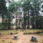 Muzyczne Podróże. Pomorze. Kręgi Odry / Danuta Rasała