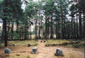 Muzyczne Podróże. Pomorze. Kręgi Odry / Danuta Rasała