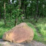 Lubelszczyzna / Grażyna Woźniczka