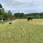 Lubelszczyzna / Grażyna Woźniczka