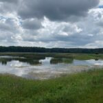 Lubelszczyzna / Grażyna Woźniczka