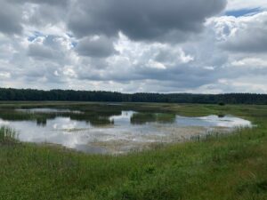 Lubelszczyzna / Grażyna Woźniczka