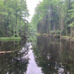 Lubelszczyzna / Grażyna Woźniczka