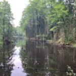 Lubelszczyzna / Grażyna Woźniczka