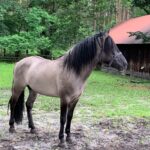 Lubelszczyzna / Grażyna Woźniczka