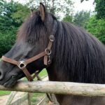 Lubelszczyzna / Grażyna Woźniczka