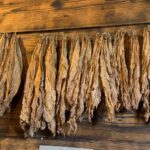 Lubelszczyzna / Grażyna Woźniczka