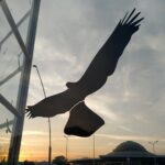 Kielce. Zdjęcia tworzące wystawę „Odkrywcy Dworca. Mistrz i uczniowie” / Malina Jamka