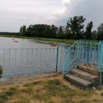 11.08.2020. Rębów. Katastrofa ekologiczna / Marta Gajda / Radio Kielce