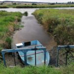 11.08.2020. Rębów. Katastrofa ekologiczna / Marta Gajda / Radio Kielce