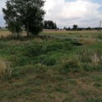 11.08.2020. Rębów. Katastrofa ekologiczna / Marta Gajda / Radio Kielce