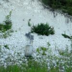 02.08.2020 Nowe, Dębno, Biedrzychów. Rzeźby z janikowskiego kamienia na wsiach gminy Ożarów / Emilia Sitarska / Radio Kielce