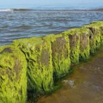 Muzyczne Podróże. Pomorze. Okolice Ustki / Danuta Rasała