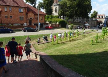 09.08.2020. Opatów. Spacer pn. „Opatowskie zakątki” / Emilia Sitarska / Radio Kielce
