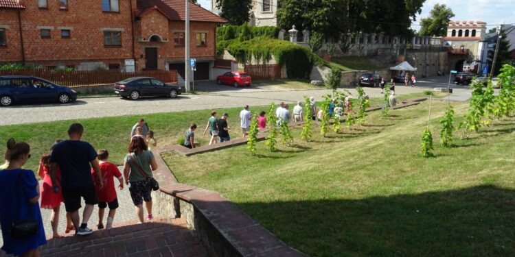 09.08.2020. Opatów. Spacer pn. „Opatowskie zakątki” / Emilia Sitarska / Radio Kielce