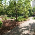 11.08.2020. Ostrowiec Św. Park Spółdzielców po rewitalizacji / Emilia Sitarska / Radio Kielce