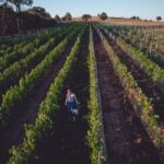 Opolszczyzna / Grażyna Woźniczka