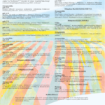 40. ROCZNICA POWSTANIA NSZZ "SOLIDARNOŚĆ" - REGION ŚWIĘTOKRZYSKI / NSZZ Solidarność