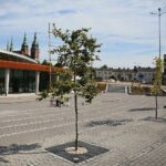 24.07.2020. Kielce. Dworzec autobusowy / Wiktor Taszłow / Radio Kielce