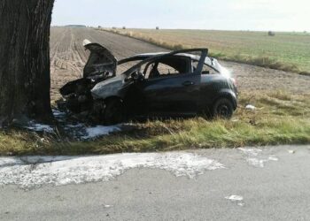 26.08.2020 Marianów. Tragiczny pożar samochodu osobowego / policja