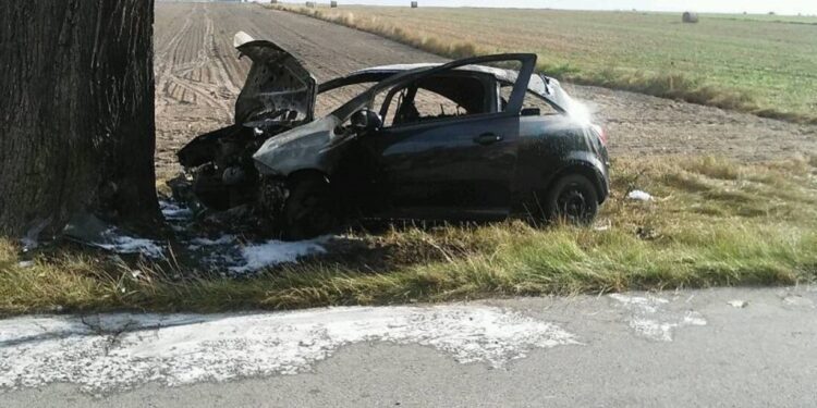 26.08.2020 Marianów. Tragiczny pożar samochodu osobowego / policja