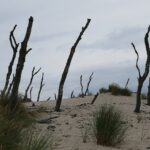 Muzyczne Podróże. Pomorze. Słowiński Park Narodowy / Danuta Rasała