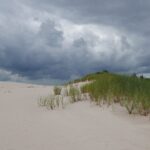 Muzyczne Podróże. Pomorze. Słowiński Park Narodowy / Danuta Rasała