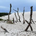 Muzyczne Podróże. Pomorze. Słowiński Park Narodowy / Danuta Rasała