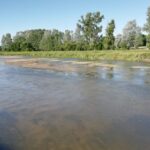 31.07.2020. Rębów. Katastrofa ekologiczna / Stefan Koston