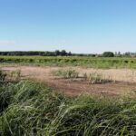 31.07.2020. Rębów. Katastrofa ekologiczna / Stefan Koston