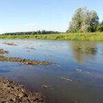 31.07.2020. Rębów. Katastrofa ekologiczna / Stefan Koston