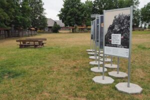 06.08.2020. Tokarnia. Wystawa plenerowa pod tytułem „Rówieśnicy Niepodległej. Sto lat historii Polski z perspektywy najstarszych Polaków” / Muzeum Wsi Kieleckiej