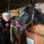 27.08.2020. Kielce. Urodziny konia Akapit. Na zdjęciu (od lewej): Dorota Klusek - Radio Kielce, Ryszard Mirowski - właściciel konia / Wiktor Taszłow / Radio Kielce