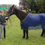 27.08.2020. Kielce. Urodziny konia Akapit. Na zdjęciu: Anna Szeptali - hipoterapeutka / Wiktor Taszłow / Radio Kielce