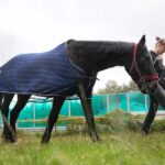 27.08.2020. Kielce. Urodziny konia Akapit. Na zdjęciu: Anna Szeptali - hipoterapeutka / Wiktor Taszłow / Radio Kielce