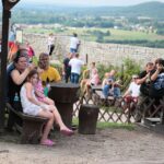 30.08.2020. Chęciny. Piknik na zamku / Wiktor Taszłow / Radio Kielce