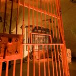 Spektakl „Wyklęta Polska” / Fundacja Kuman Team