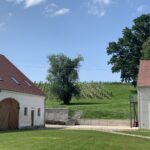 Opolszczyzna / Grażyna Woźniczka