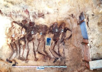 Instytut Pamięci Narodowej