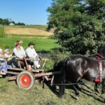 08.09.2020. Boszczynek. Powstaje film o żniwach / UMiG Skalbmierz