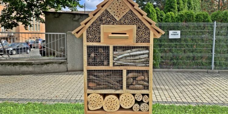 RADIO OPOLE. Na ulicach Nysy pojawiły się pierwsze domki dla owadów. Mają one pomóc między innymi pszczołom i trzmielom - Radio Kielce Radio Opole