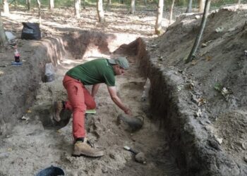 Prehistoryczna osada na terenie Wdeckiego Parku Krajobrazowego / Marcin Doliński / Radio PiK