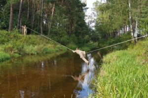 05.09.2020. Małogoszcz. Ćwiczenia Szkolnej Grupy Przysposobienia Obronnego ORLĘTA POLAND COMMANDO LOK SURVIVAL-MILITARY / Jacek Szymański