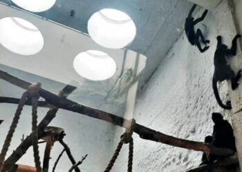 Aleksandra Flis / ZOO Zamość – “Ogród Zoologiczny im. Stefana Milera” /facebook