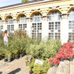 25.09.2020. Końskie. III Piknik Ekologiczny „Drzewko za surowce” / Magdalena Galas-Klusek / Radio Kielce