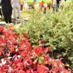 25.09.2020. Końskie. III Piknik Ekologiczny „Drzewko za surowce” / Magdalena Galas-Klusek / Radio Kielce