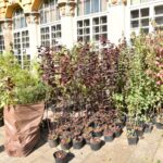 25.09.2020. Końskie. III Piknik Ekologiczny „Drzewko za surowce” / Magdalena Galas-Klusek / Radio Kielce