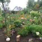 07.09.2020. Klonów. Wiejski Ogród Botaniczny / Anna Głąb / Radio Kielce